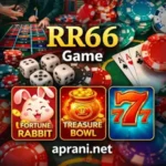 RR66 Game