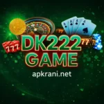 DK222 Game