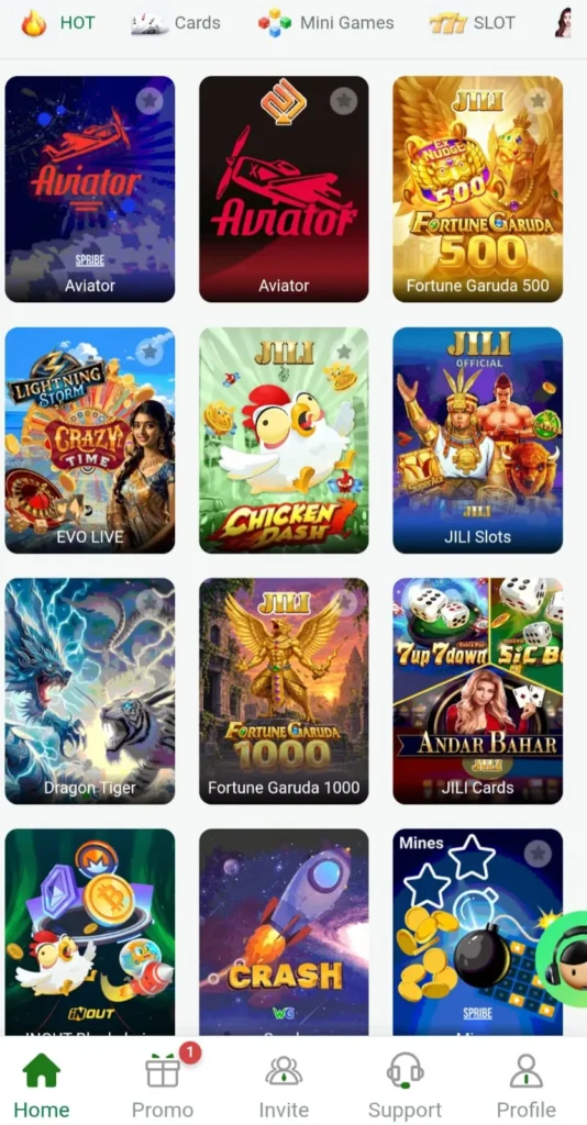 Pak9 Game