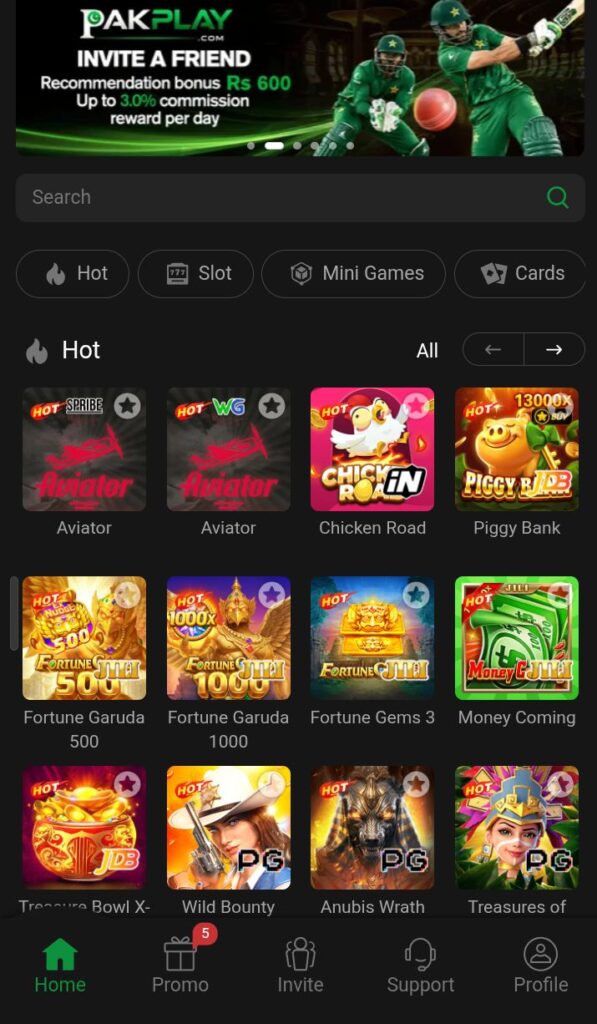 PakPlay Game